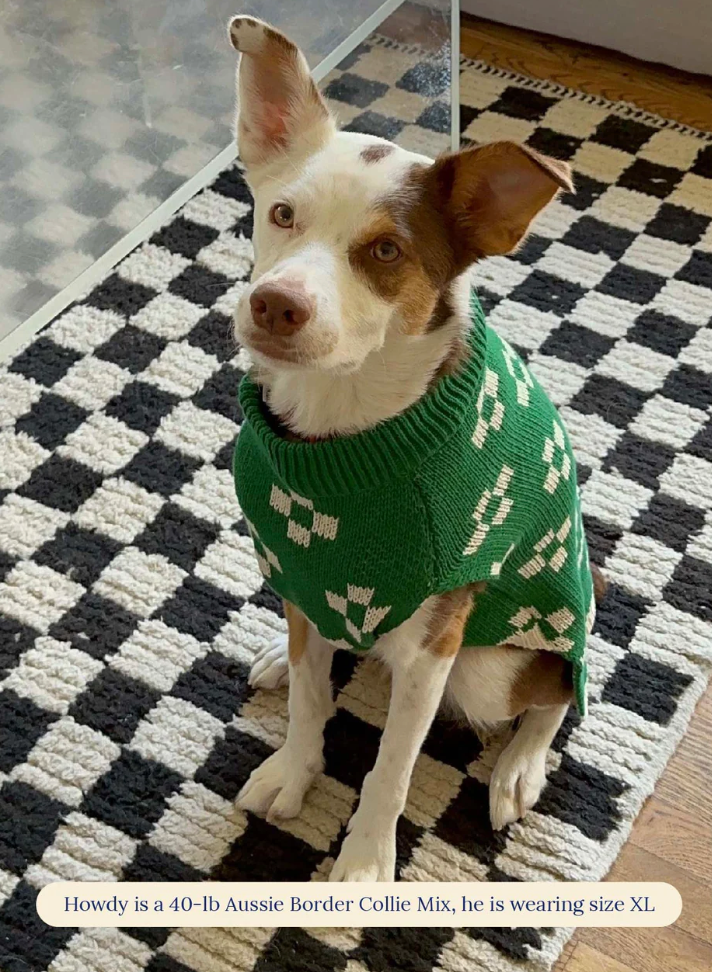 Lucky Sweater x Little Beast