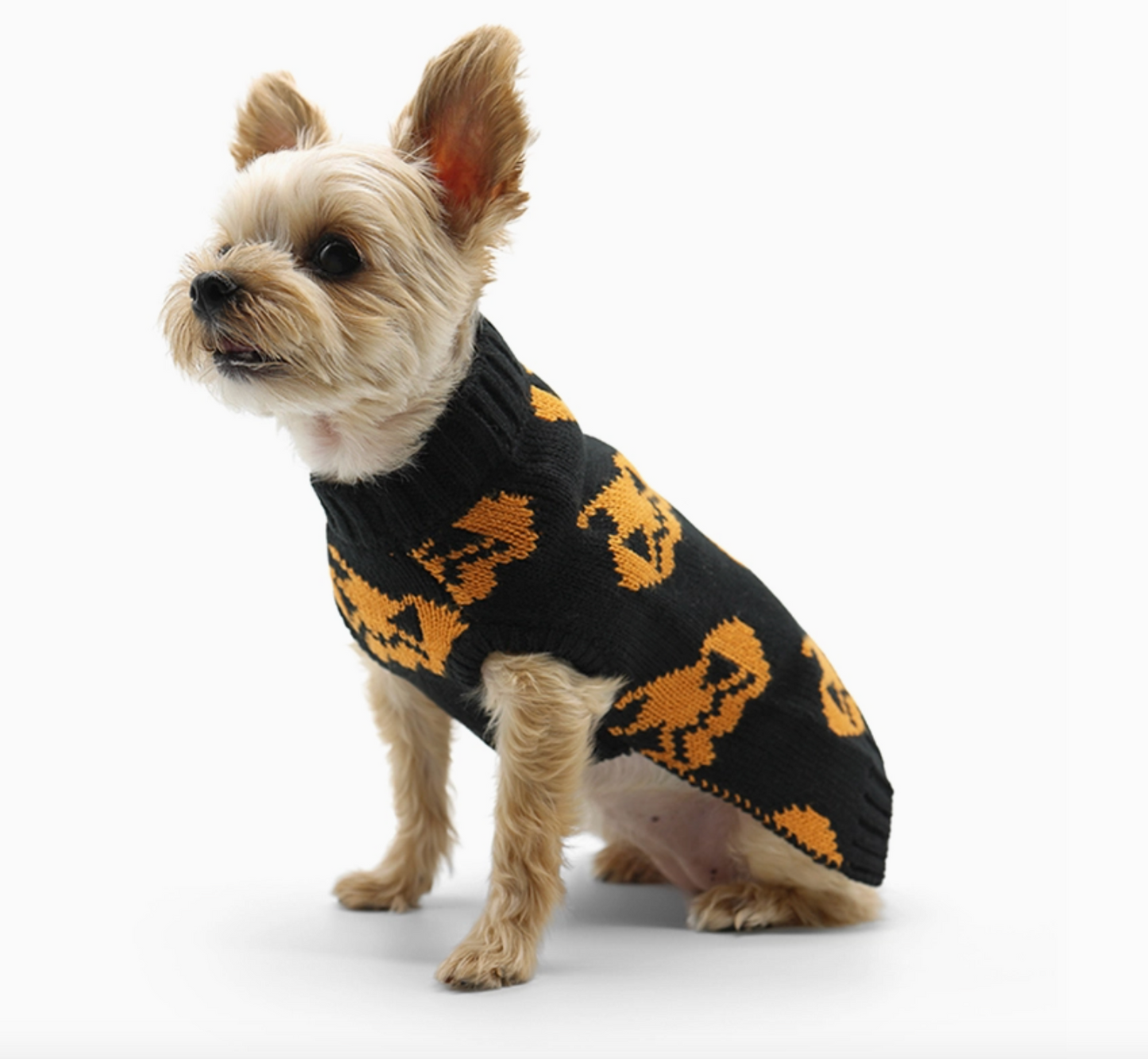 Jack O Lantern Sweater
