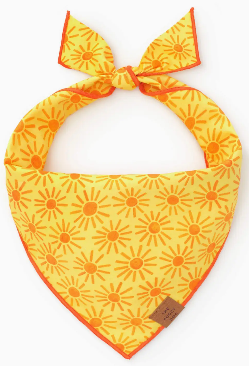 Here Comes the Sun Dog Bandana