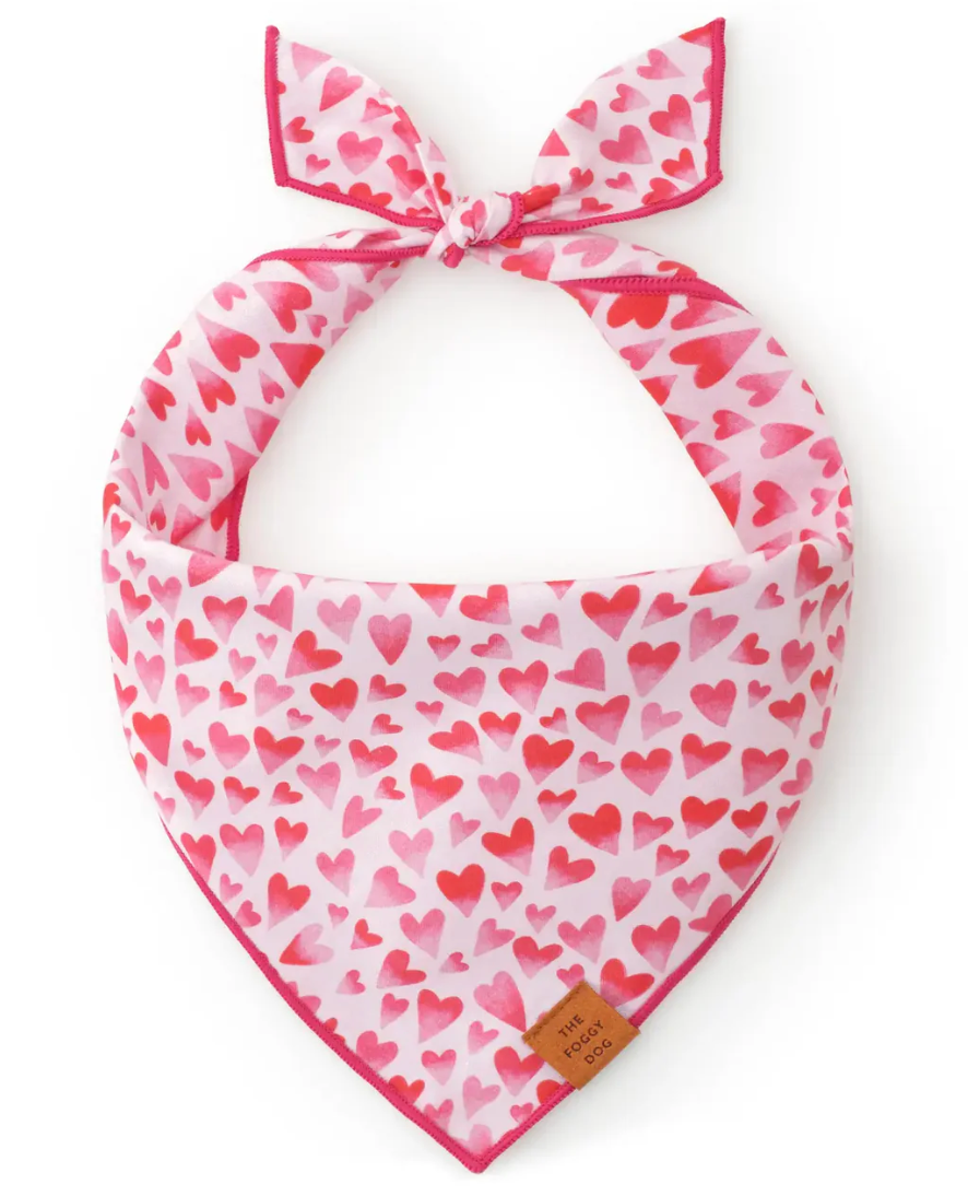 Bandana Dog Heart Throb