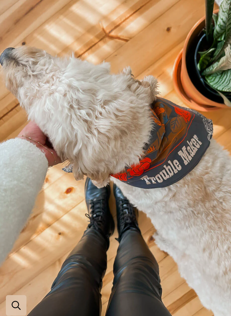 Trouble Maker Bandana