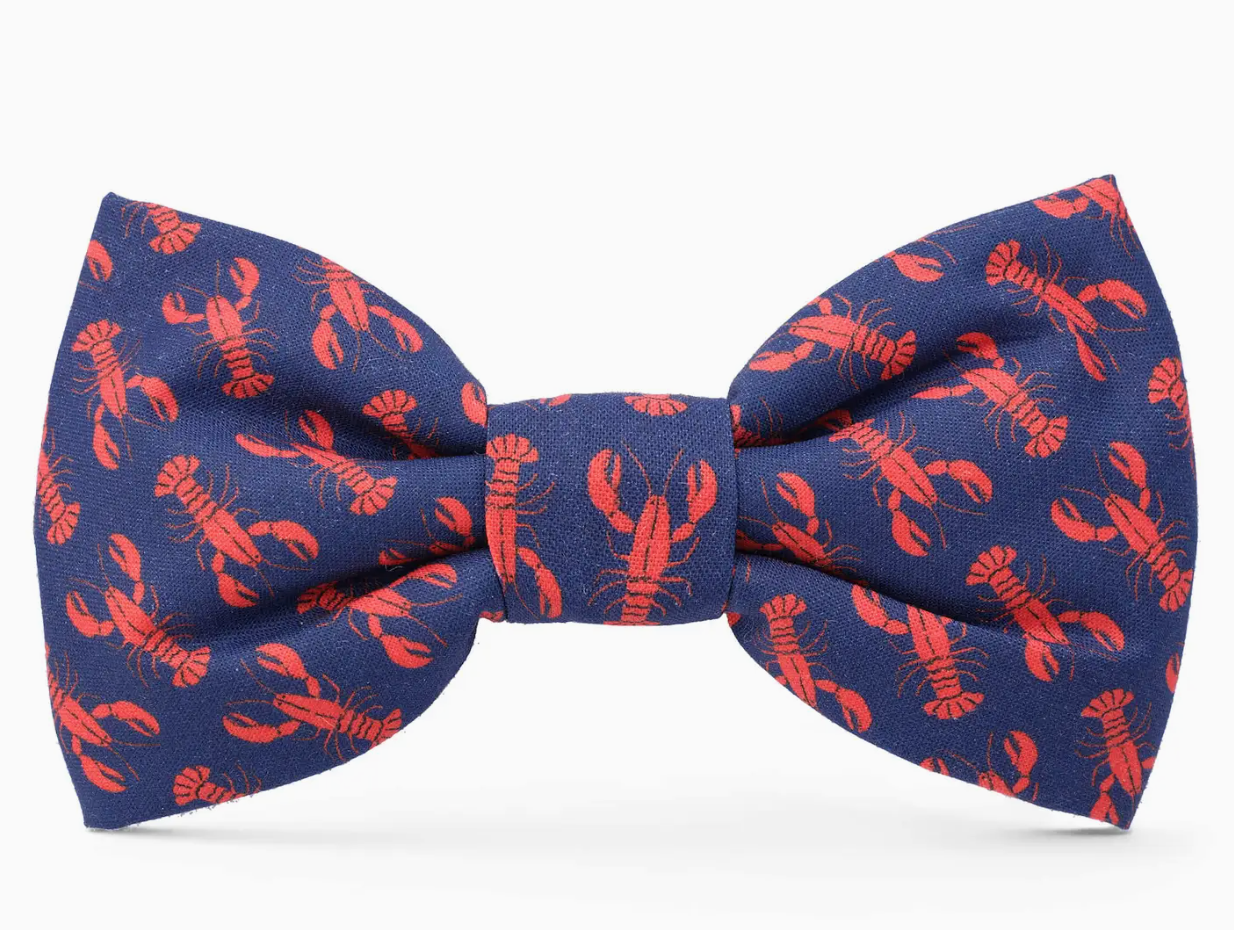 Catch of the Day Summer Dog Bow Tie