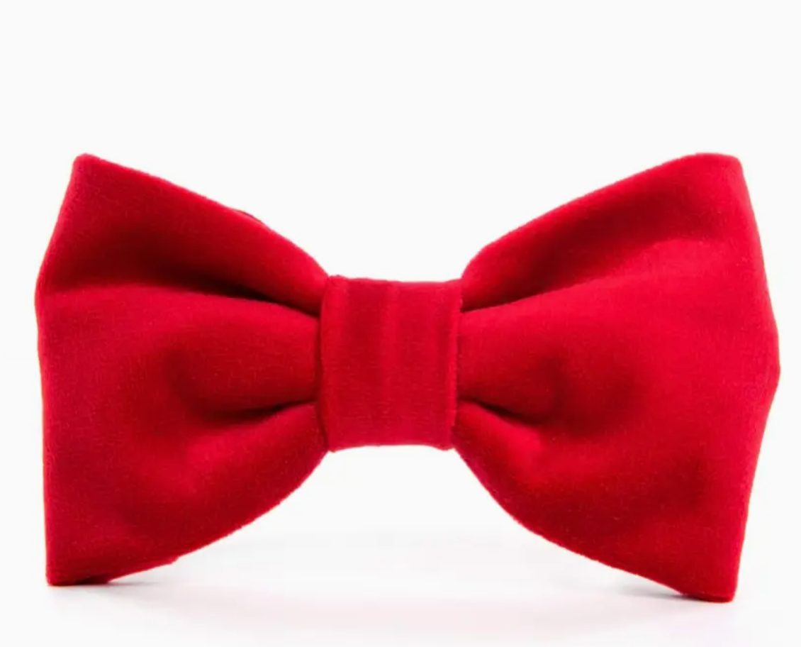 Cranberry Velvet Day Dog Bow Tie
