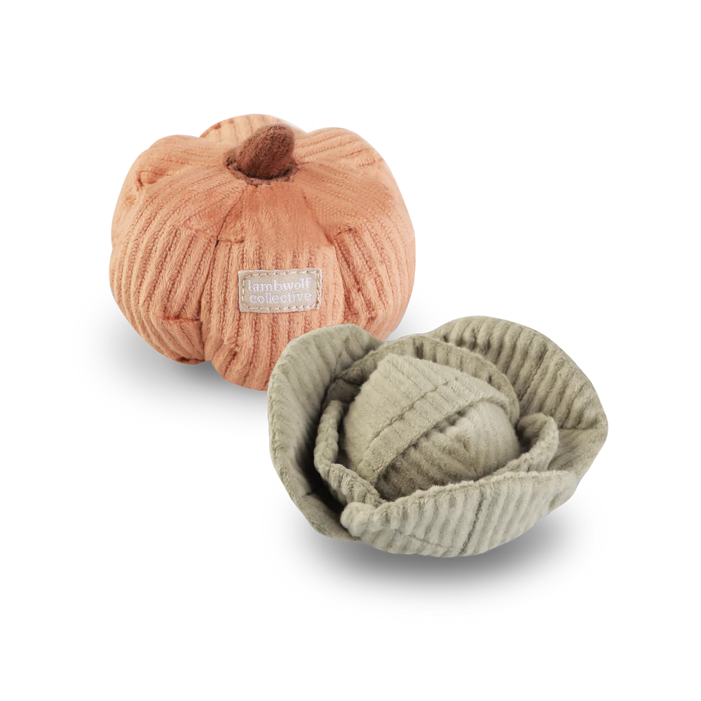 Catnip filled cat toys