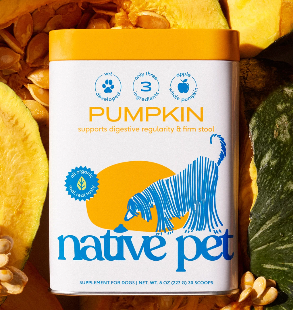 Native Pet - Pumpkin