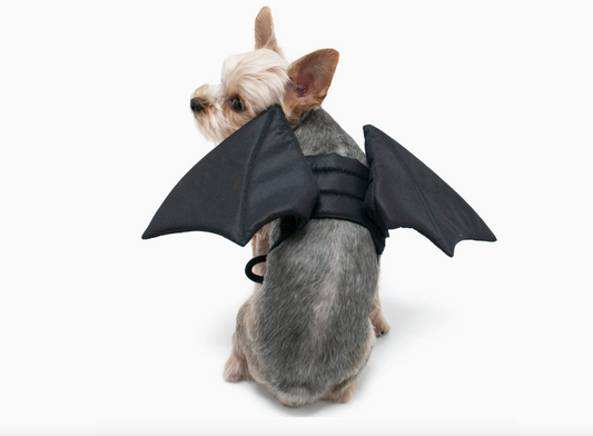Bat Wings