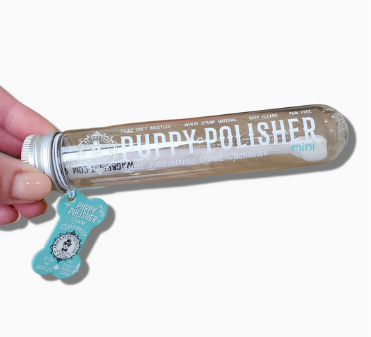 Puppy Polisher Tooth Brush (mini)