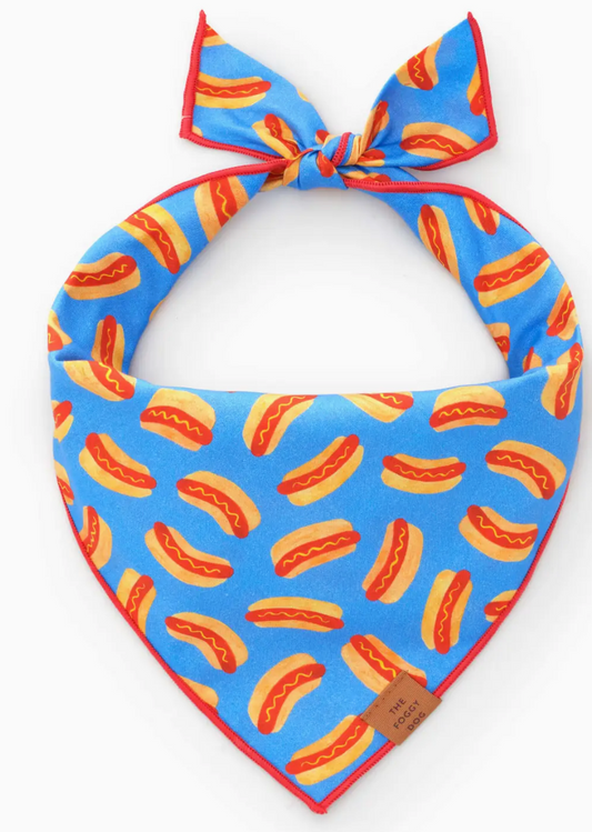 Love Bug Spring Dog Bandana