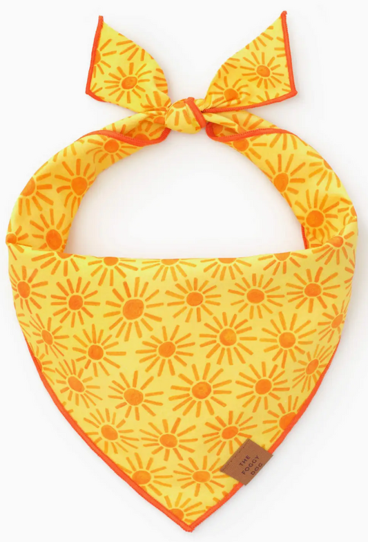 Here Comes the Sun Dog Bandana