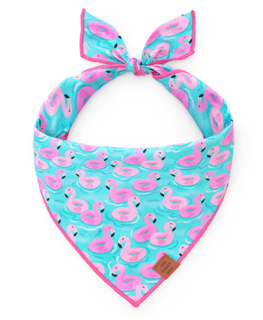 Float-Mingo Summer Dog Bandana
