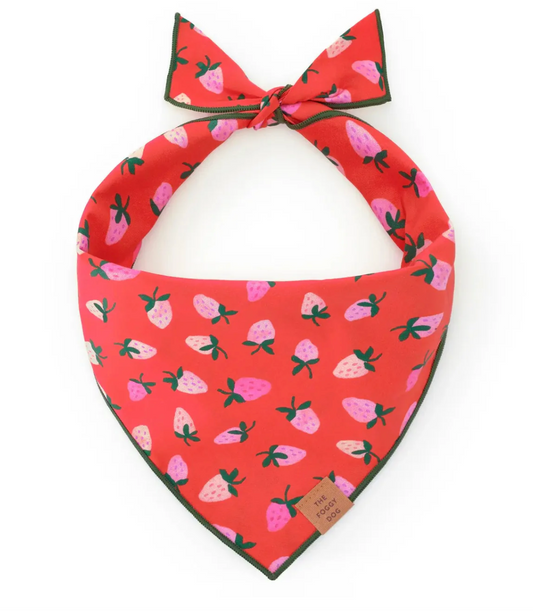 Berry Sweet Dog Bandana