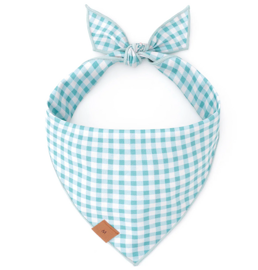 Carrot Patch Easter Reversible Dog Bandana