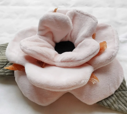 Poppy