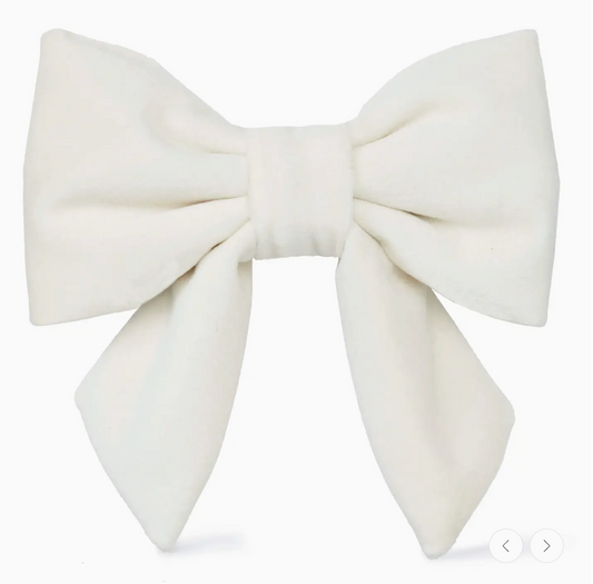 Ivory Velvet  Lady Dog Bow