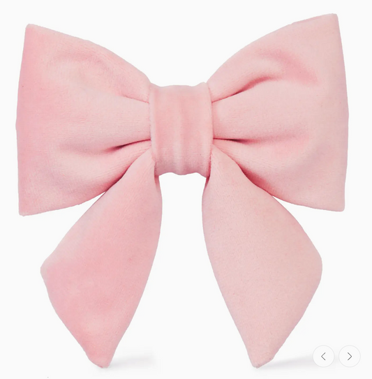 Blush Pink Velvet Lady Dog Bow