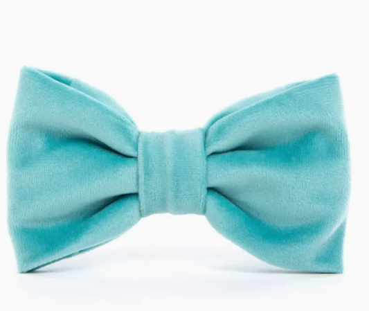 Robin's Egg Velvet Spring Dog Bow Tie