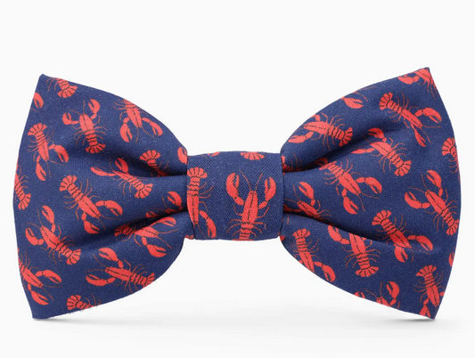 Catch of the Day Summer Dog Bow Tie