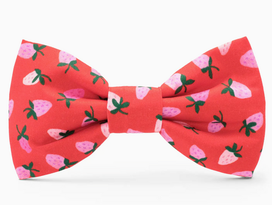 Berry Sweet Dog Bow Tie