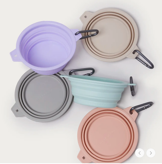 Rubber Travel Bowl For Dogs