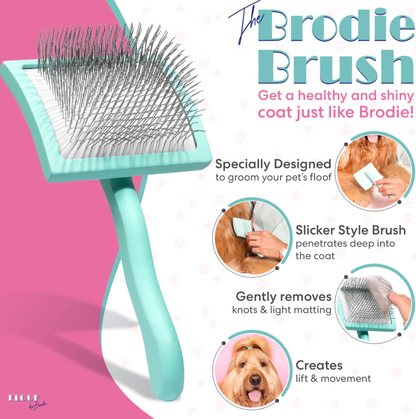 Brodie Brush