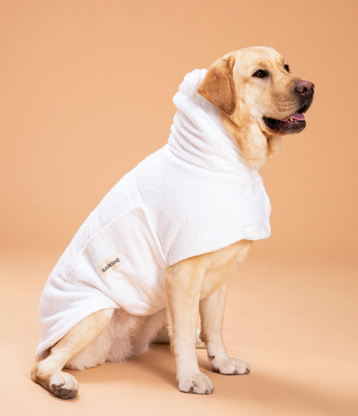 Dog bathrobe quick drying